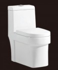 One-piece Toilet, TR5216