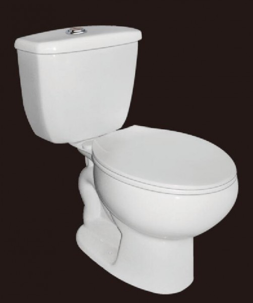 Two-piece Toilet