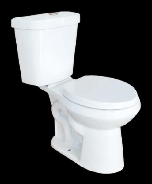 Two-piece Toilet