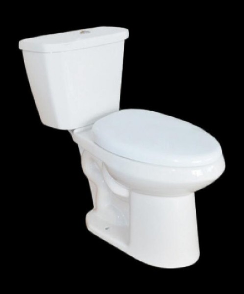 Two-piece Toilet