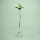 Flower Vase, Flower Vase